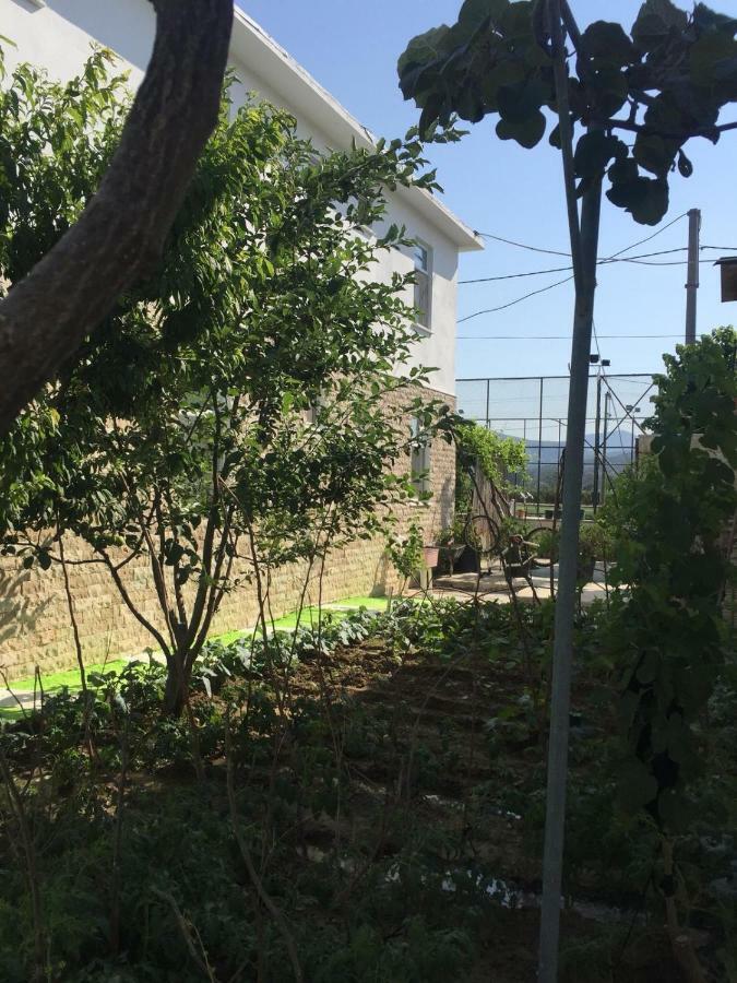 Elite Apart Pansiyon İmroz Exterior foto